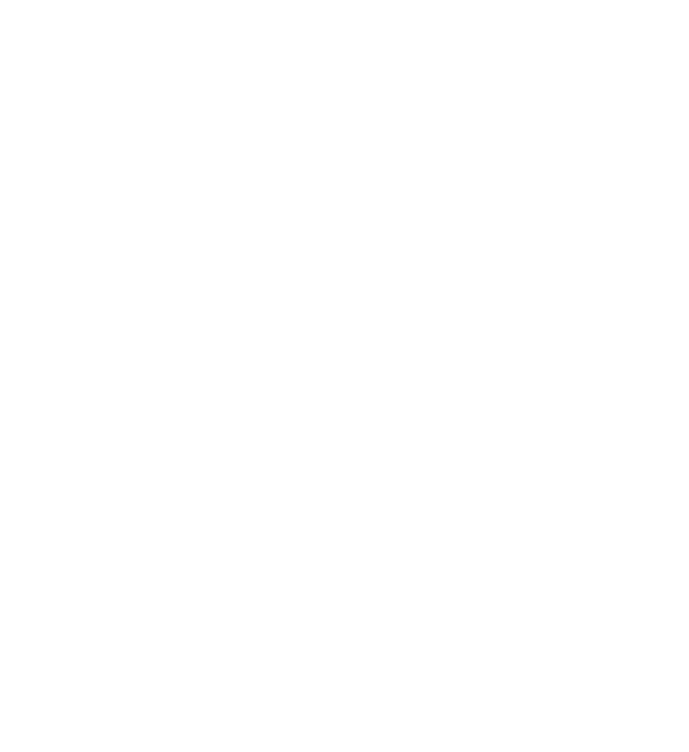 AFG logo - lion figure AFG logo - lion figure